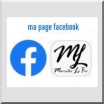 Page facebook marielle Le Fur 